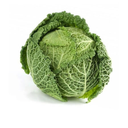 Fresh Cabbage Green Head (1 piece)