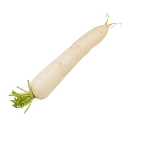 Fresh Large White Mooli Radish Loose (1 piece.)