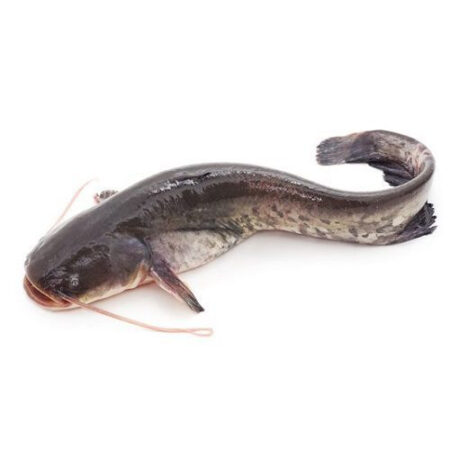 Catfish Whole (1 piece.) 800 g. Frozen