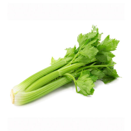 Fresh Celery Bag