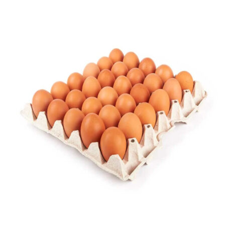 Eggs Medium Tray 20 pcs.