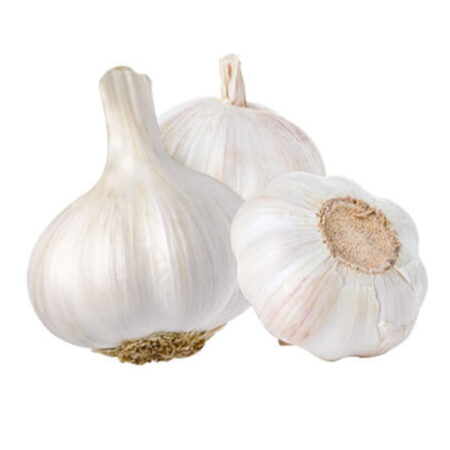 Fresh Garlic (1 piece.)