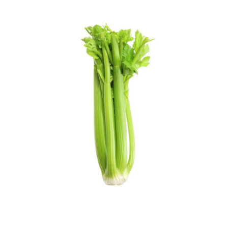 Fresh Celery Bag