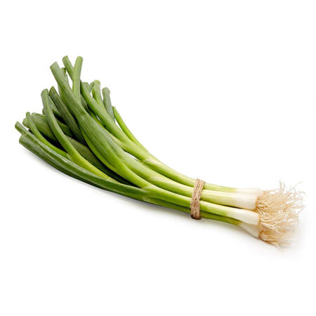 Fresh Scallions Bag (1 pack.)