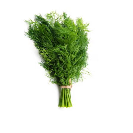 Fresh Dill Bag 50 g.