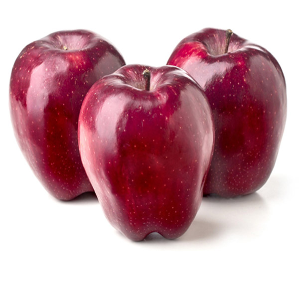 Large Young Apple Poland(1 pcs.)