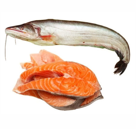 Boal Fish Whole Cutted 2+ kg. /Frozen