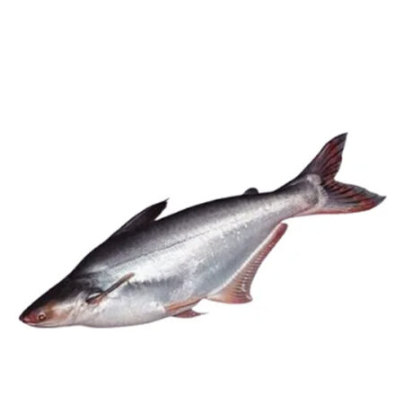 Fish Pangas Whole Cutted 2+ kg.