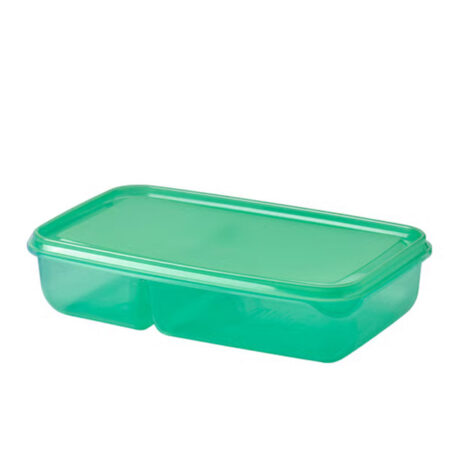 Plastic Sandwich Container With Lid Mixed Colour 22x14x5 cm.